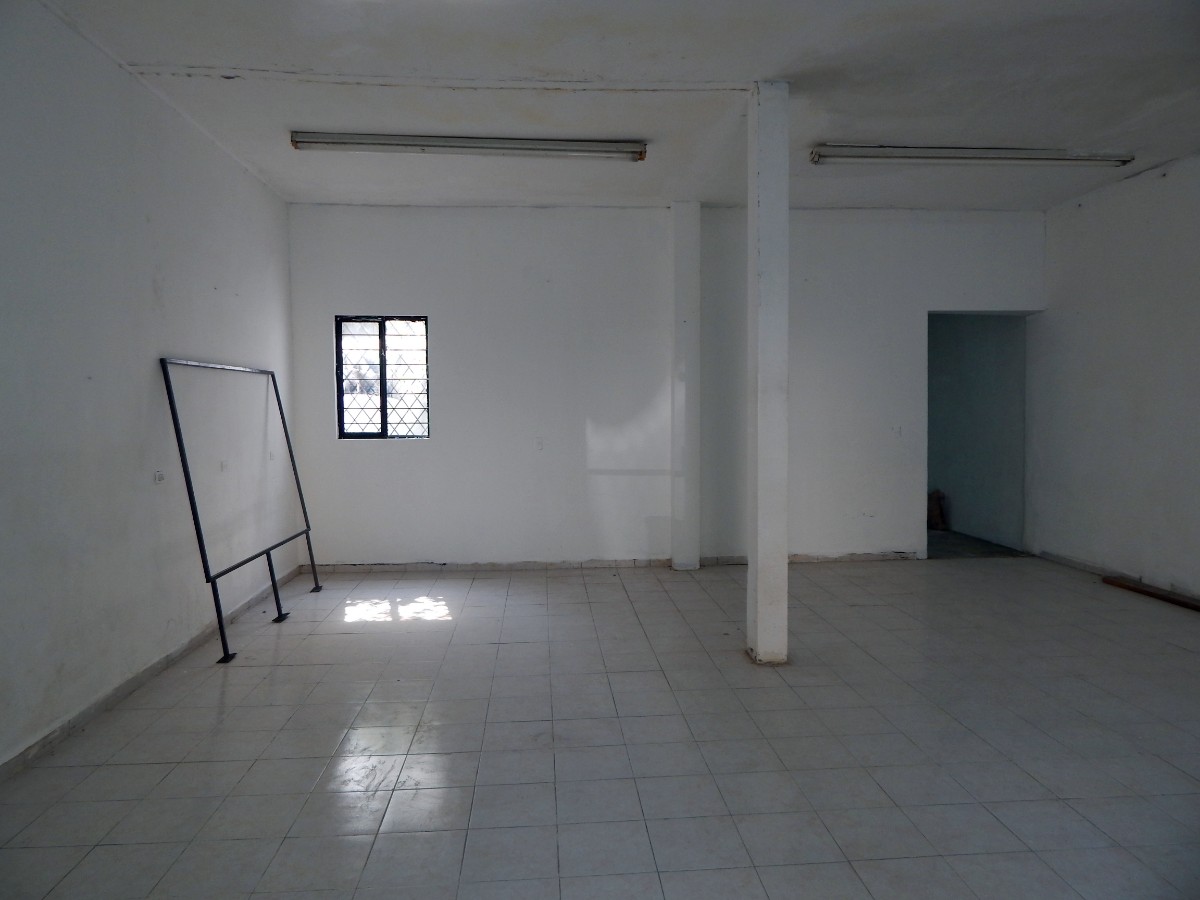 Área Principal